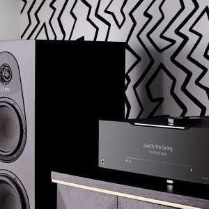 Linn 150 Floor Standing Loudspeaker in black